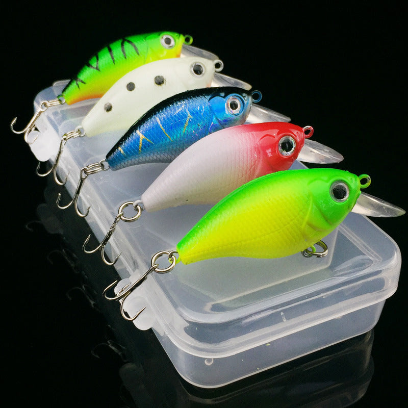 Ultimate Angler's Bait & Gear Set