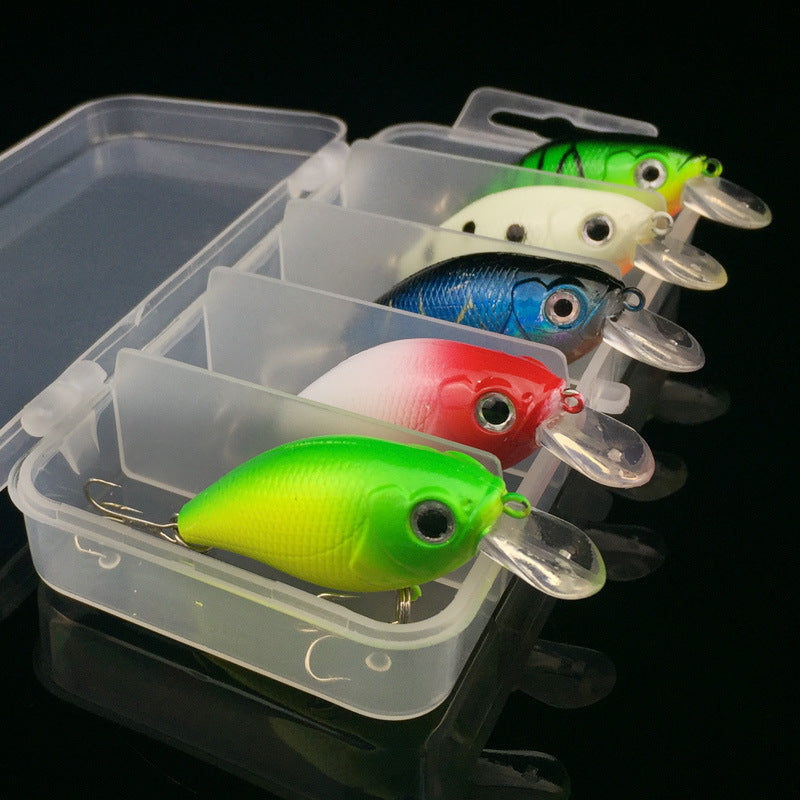 Ultimate Angler's Bait & Gear Set