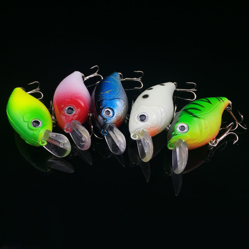 Ultimate Angler's Bait & Gear Set