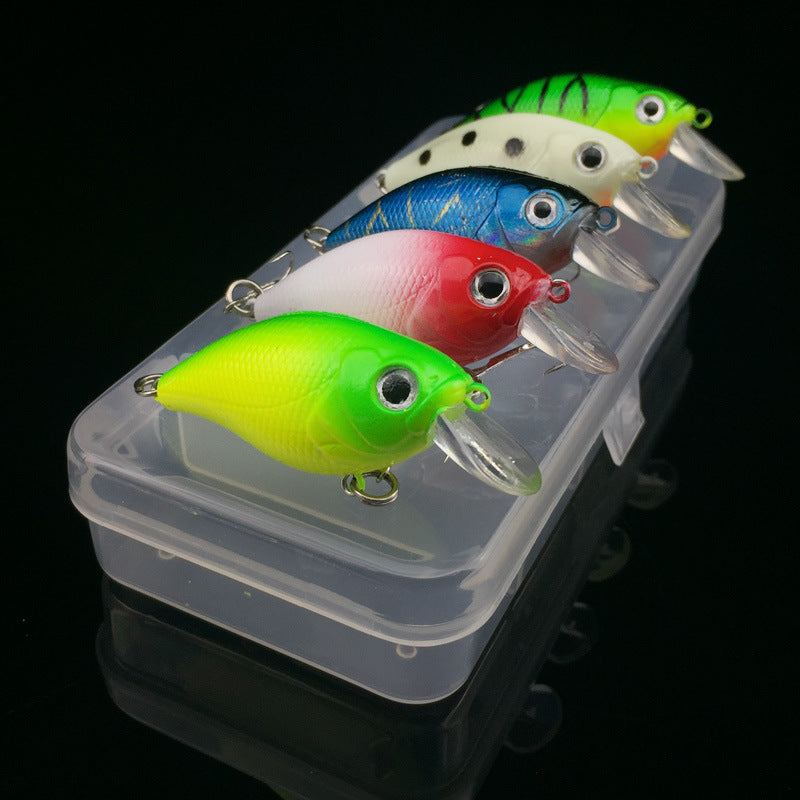 Ultimate Angler's Bait & Gear Set