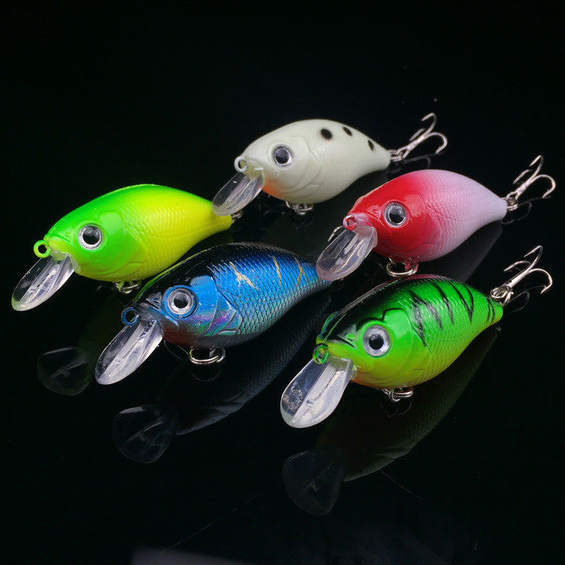 Ultimate Angler's Bait & Gear Set